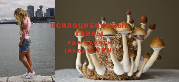 кокаин колумбия Алексин