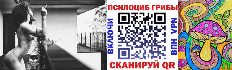 Галлюциногенные грибы Psilocybine cubensis  Купить  Юрга 